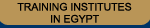 Training Institutes in Egypt